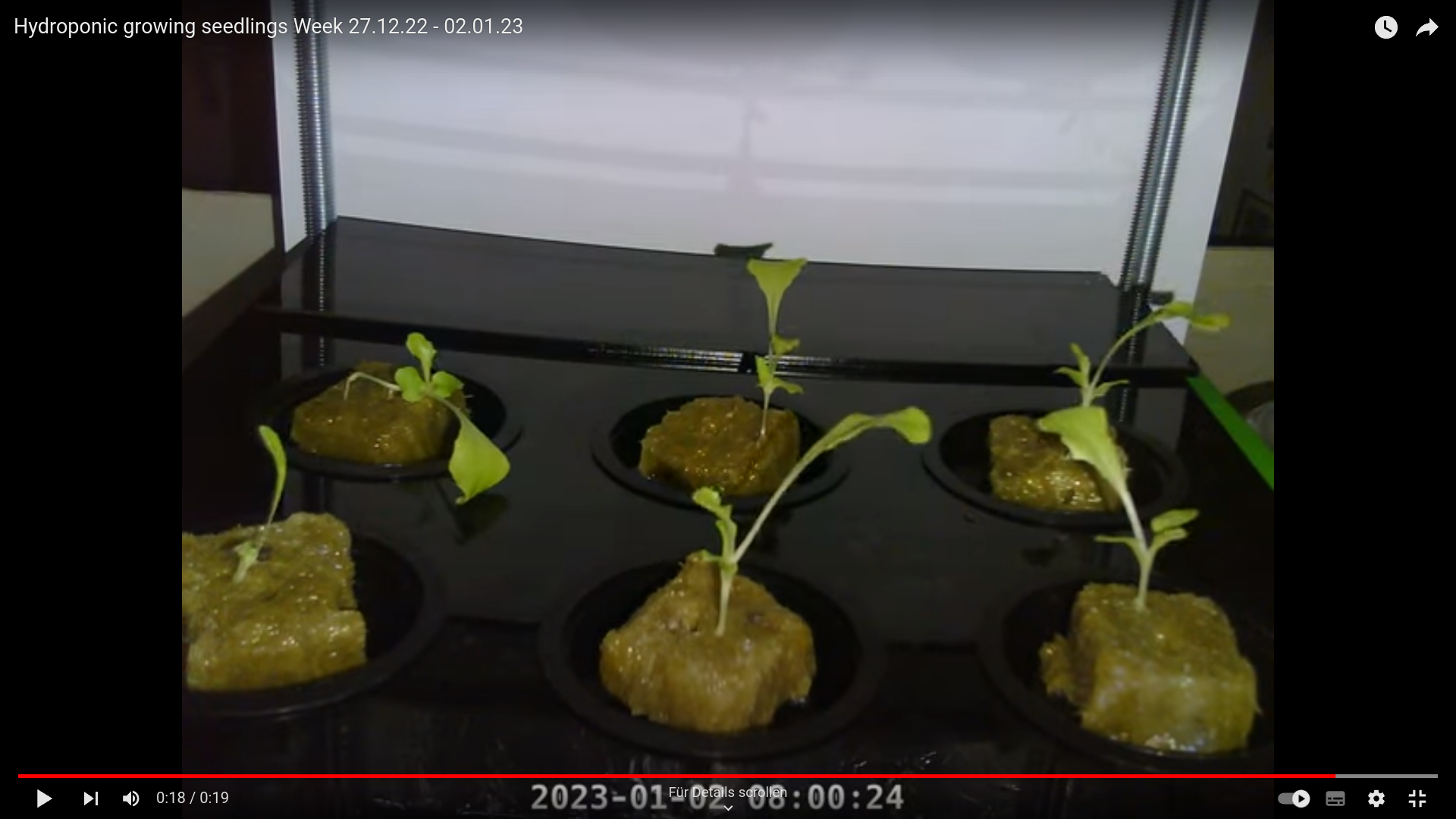 Die letzten 7 Tage im Zeitraffer